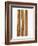 Three Cinnamon Sticks-Frank Tschakert-Framed Photographic Print