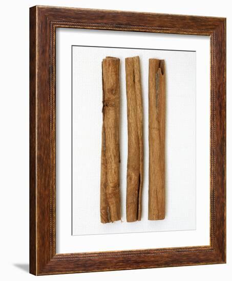 Three Cinnamon Sticks-Frank Tschakert-Framed Photographic Print