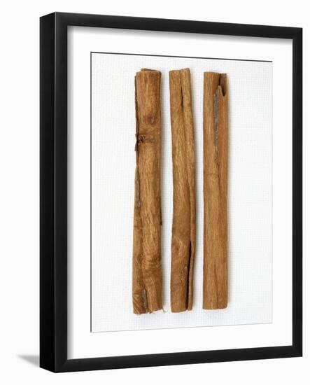 Three Cinnamon Sticks-Frank Tschakert-Framed Photographic Print