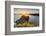 Three Cliffs Bay, Gower Peninsula, Swansea, Wales, United Kingdom, Europe-Billy Stock-Framed Photographic Print