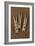 Three Clothes Pegs-Den Reader-Framed Photographic Print