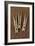 Three Clothes Pegs-Den Reader-Framed Photographic Print