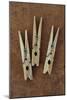 Three Clothes Pegs-Den Reader-Mounted Photographic Print