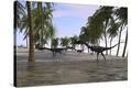 Stretched Canvas Print
