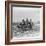 Three Confederate Prisoners, Gettysburg, Pennsylvania-null-Framed Photographic Print