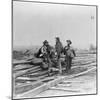 Three Confederate Prisoners, Gettysburg, Pennsylvania-null-Mounted Photographic Print