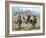 Three Cowboys-Carolyne Hawley-Framed Art Print