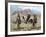 Three Cowboys-Carolyne Hawley-Framed Art Print