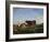 Three Cows on Pasture-Rosa Bonheur-Framed Giclee Print