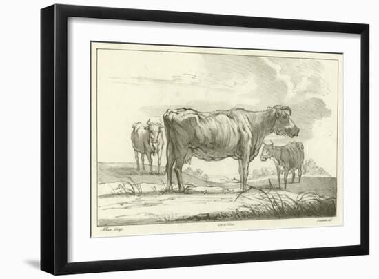 Three Cows-Aelbert Cuyp-Framed Giclee Print