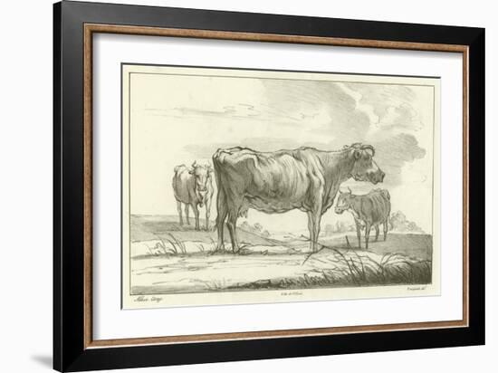 Three Cows-Aelbert Cuyp-Framed Giclee Print