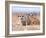 Three Curious Adult Meerkats at the Edge of their Family Den Pose for the Camera.  Botswana.-Karine Aigner-Framed Photographic Print