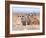 Three Curious Adult Meerkats at the Edge of their Family Den Pose for the Camera.  Botswana.-Karine Aigner-Framed Photographic Print