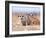 Three Curious Adult Meerkats at the Edge of their Family Den Pose for the Camera.  Botswana.-Karine Aigner-Framed Photographic Print