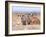 Three Curious Adult Meerkats at the Edge of their Family Den Pose for the Camera.  Botswana.-Karine Aigner-Framed Photographic Print