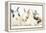 Three Cute Baby Bunnies Sitting Together-Mark Taylor-Framed Premier Image Canvas