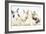 Three Cute Baby Bunnies Sitting Together-Mark Taylor-Framed Photographic Print