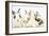 Three Cute Baby Bunnies Sitting Together-Mark Taylor-Framed Photographic Print