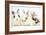 Three Cute Baby Bunnies Sitting Together-Mark Taylor-Framed Photographic Print