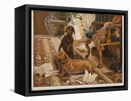 Three Dachshunds Have a Great Time with Master's Papers-null-Framed Premier Image Canvas