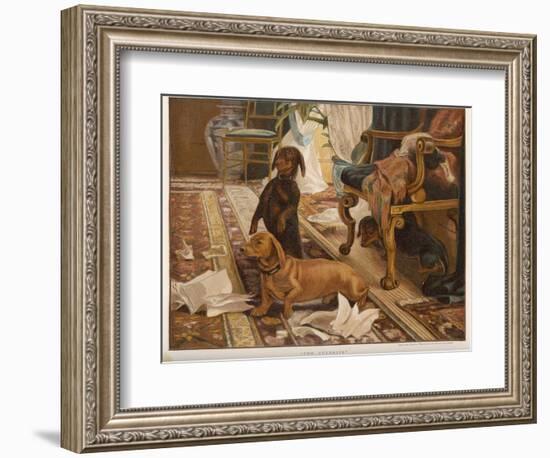 Three Dachshunds Have a Great Time with Master's Papers-null-Framed Photographic Print