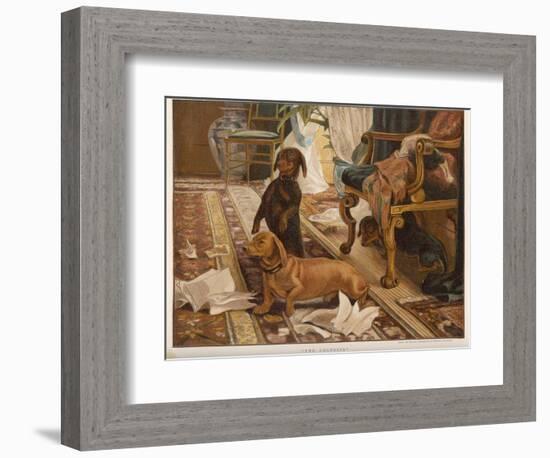 Three Dachshunds Have a Great Time with Master's Papers-null-Framed Photographic Print