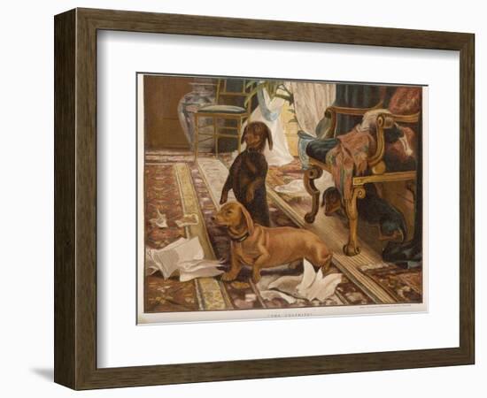 Three Dachshunds Have a Great Time with Master's Papers-null-Framed Photographic Print