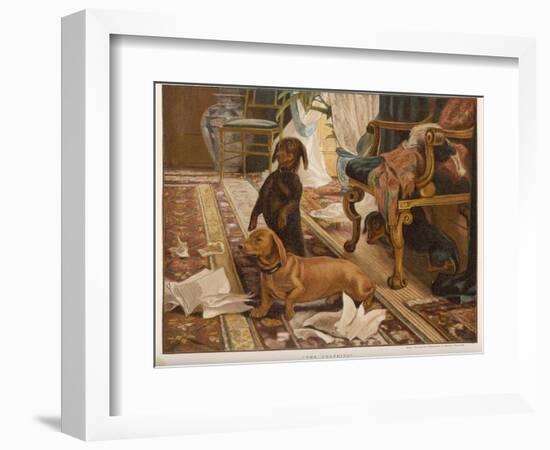 Three Dachshunds Have a Great Time with Master's Papers-null-Framed Photographic Print