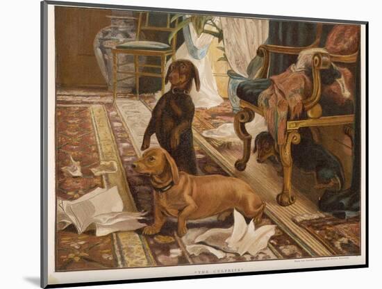 Three Dachshunds Have a Great Time with Master's Papers-null-Mounted Photographic Print