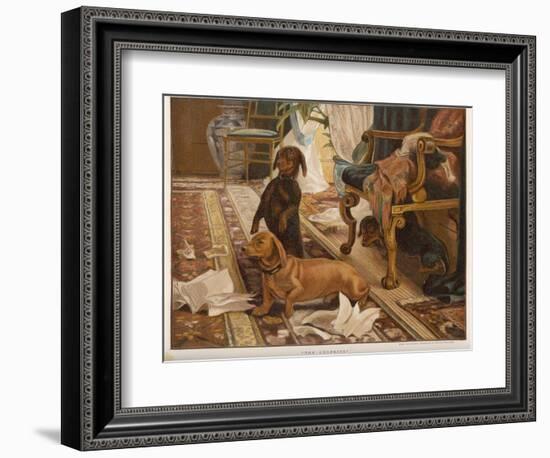 Three Dachshunds Have a Great Time with Master's Papers-null-Framed Photographic Print