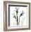 Three Daffodils in Green-Albert Koetsier-Framed Art Print