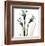 Three Daffodils in Green-Albert Koetsier-Framed Art Print