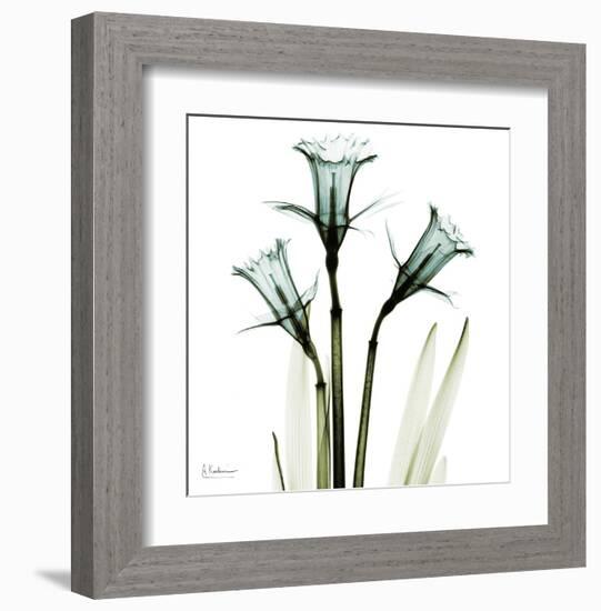 Three Daffodils in Green-Albert Koetsier-Framed Art Print