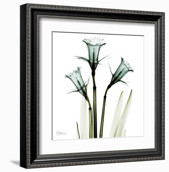 Three Daffodils in Green-Albert Koetsier-Framed Art Print