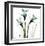 Three Daffodils in Green-Albert Koetsier-Framed Art Print