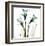 Three Daffodils in Green-Albert Koetsier-Framed Art Print