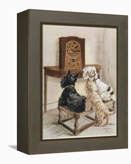 Three Dogs Enjoy a Radio Broadcast-Marjorie Turner-Framed Premier Image Canvas