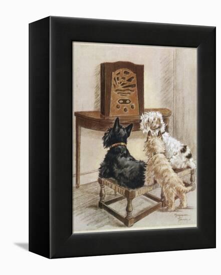 Three Dogs Enjoy a Radio Broadcast-Marjorie Turner-Framed Premier Image Canvas