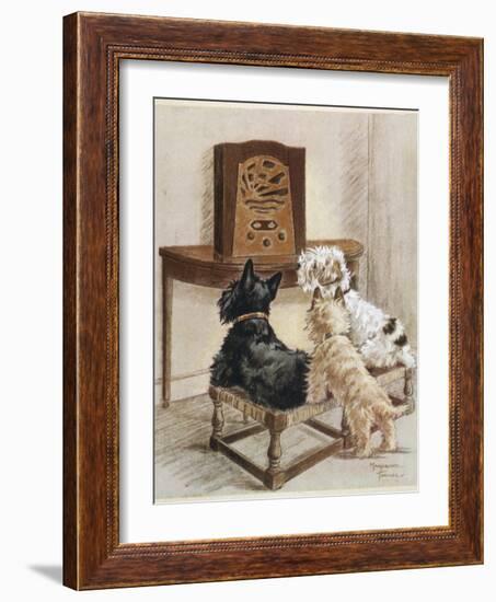 Three Dogs Enjoy a Radio Broadcast-Marjorie Turner-Framed Photographic Print