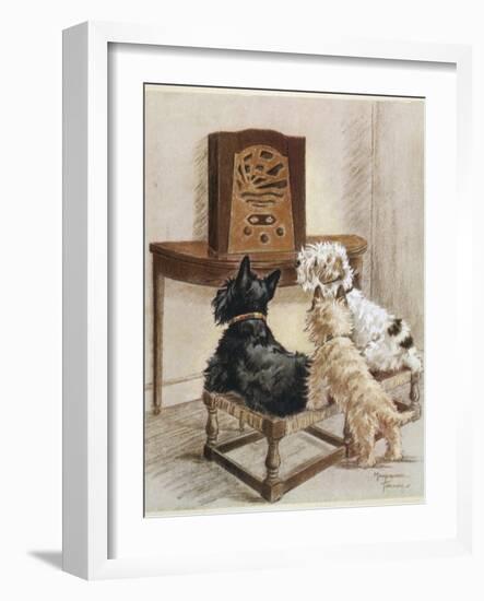 Three Dogs Enjoy a Radio Broadcast-Marjorie Turner-Framed Photographic Print