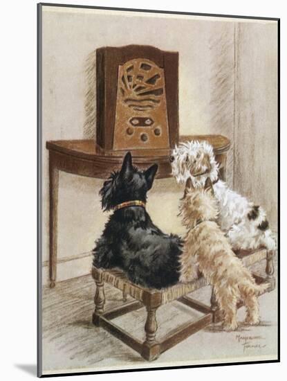 Three Dogs Enjoy a Radio Broadcast-Marjorie Turner-Mounted Photographic Print