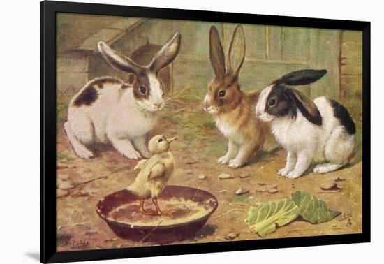 Art Print, , large
