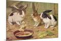 Premium Giclee Print