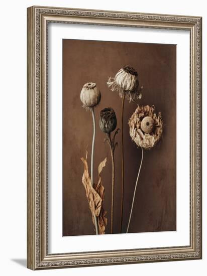 Three Dry Flowers-Treechild-Framed Giclee Print