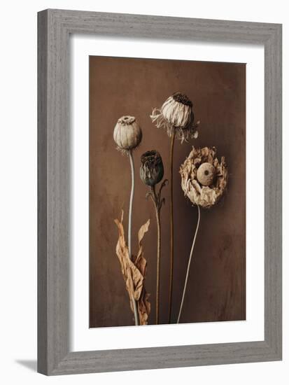 Three Dry Flowers-Treechild-Framed Giclee Print