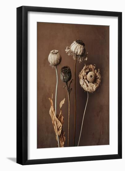 Three Dry Flowers-Treechild-Framed Giclee Print