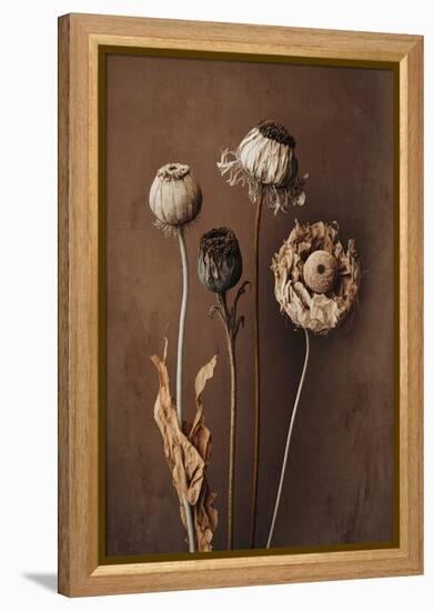 Three Dry Flowers-Treechild-Framed Premier Image Canvas