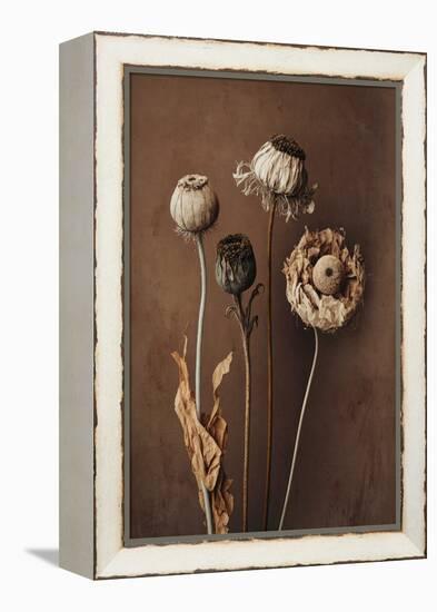 Three Dry Flowers-Treechild-Framed Premier Image Canvas