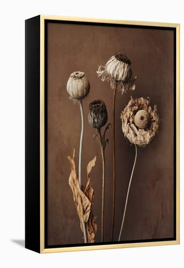 Three Dry Flowers-Treechild-Framed Premier Image Canvas