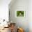 Three Easter Eggs in Grass-null-Framed Photographic Print displayed on a wall